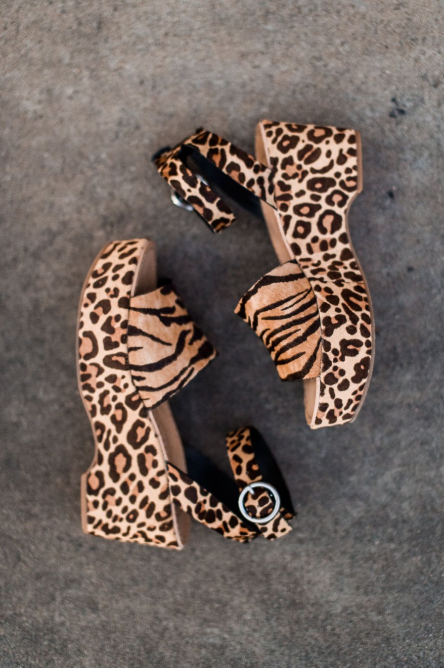 Shoes Dolce Vita | Lesley Tiger Wedge