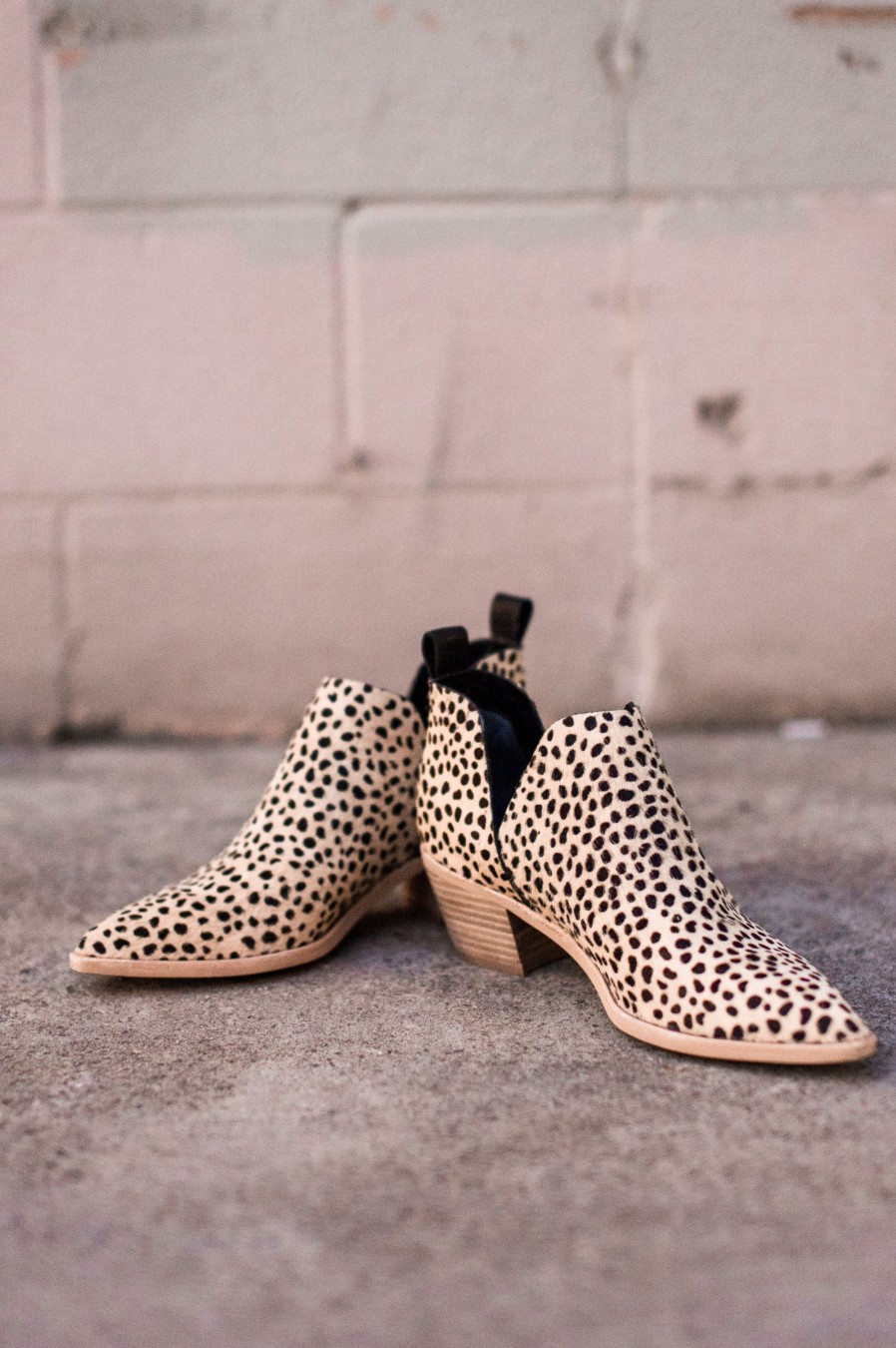 Shoes Dolce Vita | Sonni Leopard Bootie